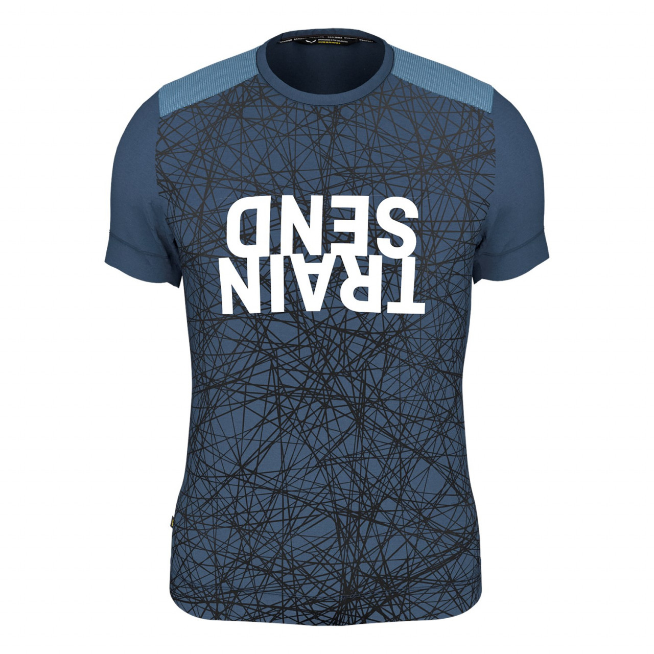 Salewa Alpine Hemp Print Erkek T-Shirts Mavi Türkiye 948051LDR